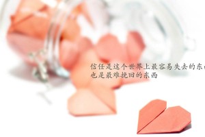 世界体操公开赛：创新动作与稳定发挥并重获得高评分，世界体操锦标赛2021金牌榜