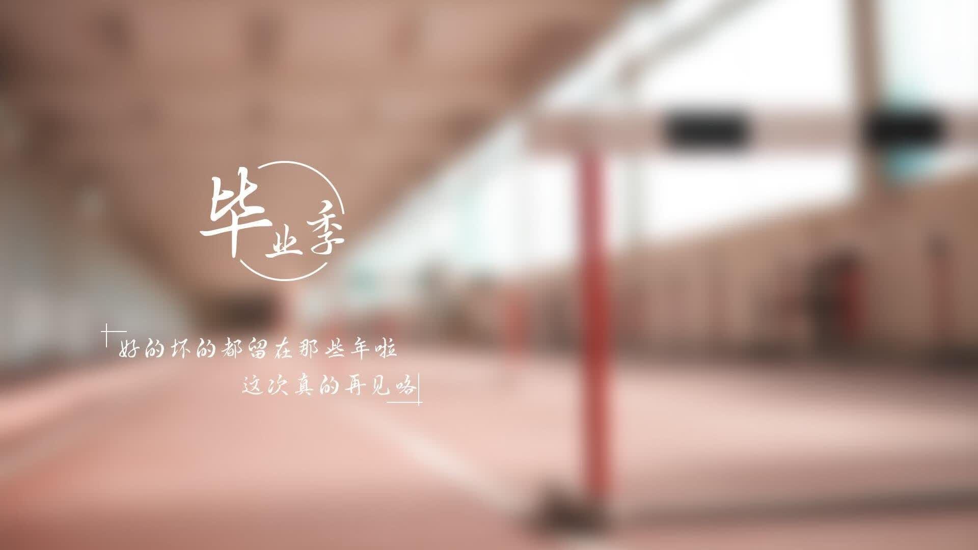 1970-1990：世界杯金球奖的早期传奇，世界杯金球奖亚军