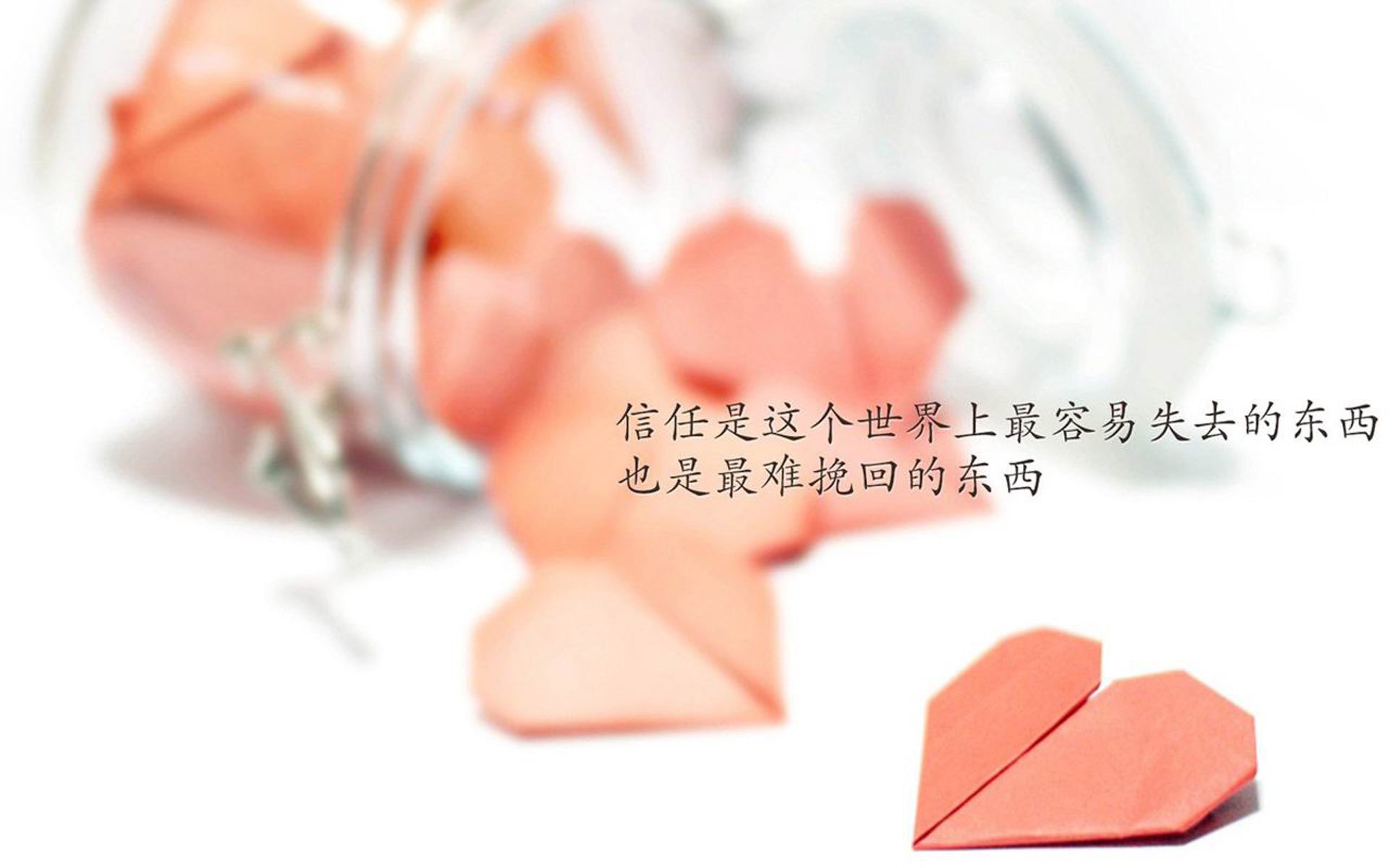 世界体操公开赛:创新动作与稳定发挥并重获得高评分,世界体操锦标赛2021金牌榜